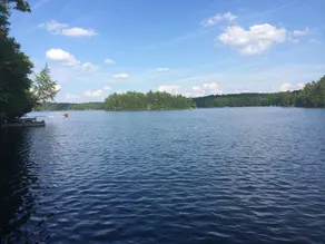 Tall Trees~3 Bedrooms & 1.5 Bathrooms on Pristine Bruce Lake in Muskoka - Image 3