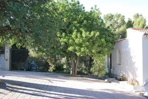 House In The Mediterranean Forest - Image 4