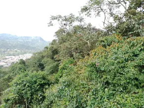 KasaKumbre - Image 4