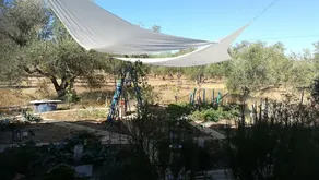 Finca Casa Halcon - Image 5