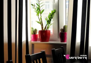 Very Berry Hostel - Image 5