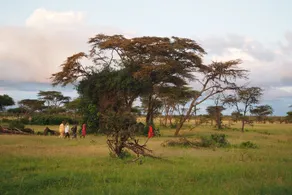 Basecamp Eagle View - Image 3