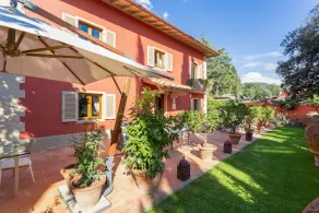 Cipressi Alle Vigne - Image 4