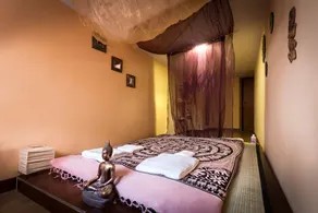 Opera Home - Image 2