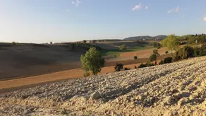 Le Ginestre Alloggio Monferrato - Image 4