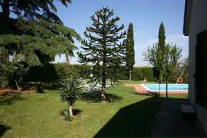 Villa Il Cedro - Image 4
