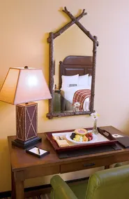 The Lodge & Spa at Callaway Gardens - Image 5