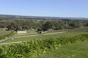 131 Your Vineyard Home in the heart of the Vale - Image 3