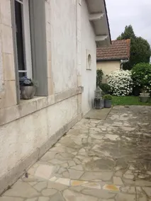 Les Hortensias - Image 3