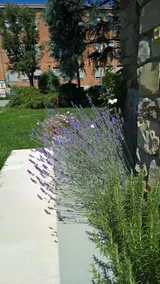 A Casa Di Simonetta - Image 5