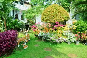 Angel Rest - Image 4