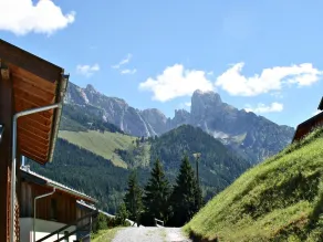 Enzian Steuer in Steuer - Image 5