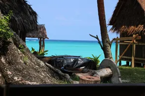 Vaton Beach Bungalow - Image 4
