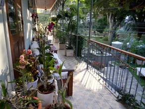 Pousada Ace Palace - Image 5
