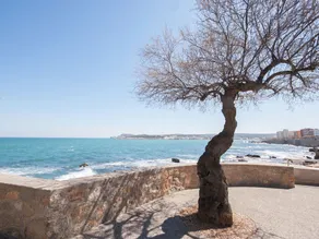 Luxury Apartment in L'Escala Catalonia with Beach nearby - Image 5