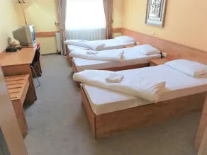 Olive Inn (Airport Global) - Image 3