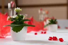 Penzion Arigone&Privátní Wellness - Image 2