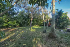 Home in the Heart of Miami - Image 4