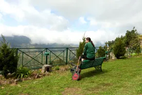 Whispering Pines Himalayan Retreat - Image 5