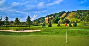 Wisp Resort - Image 5