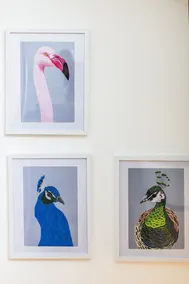 Your Apartment The Little Birdie - Image 4
