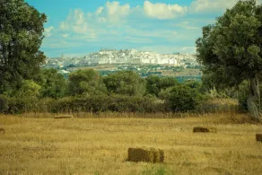 Masseria Palombara Grande - Image 3