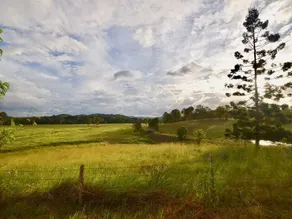 Country Breeze Farm Stay - Image 4