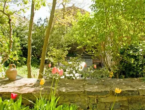 Casa Alta - Image 5