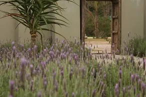 Plett River Lodge - Image 2