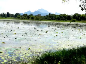 Chanaka Homestay - Image 3