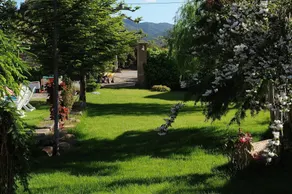 Castell de Riudabella - Image 2