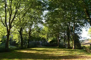 Le Moulin Neuf - Image 2