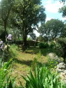 L'Atelier - Image 4