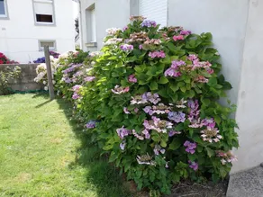 Property With 2 Bedrooms in Erdeven, With Enclosed Garden - 3 km From - Image 2