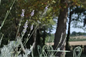 Une Vie En Quercy - Image 2