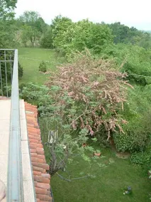 Apartment With 2 Bedrooms in Carrù, With Enclosed Garden - 45 km From - Image 2