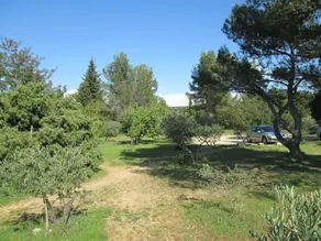 La Garrigue Des Alpilles - Image 3