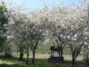 Chic Villa in La Chapelle-blanche-saint-martin With Jacuzzi - Image 5