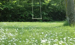 Le Moulin De La Ronce - Image 3