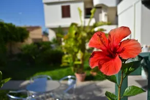 Villa Fiori Beach - Image 5