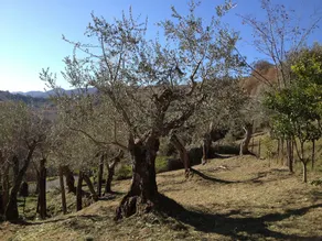 Il Casale dell'Ingegnere - Image 3