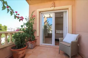 Siesta - Image 4