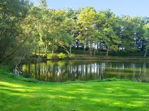Maison de 2 chambres a Saint Saud Lacoussiere avec magnifique vue sur le lac piscine partagee jardin - Image 5