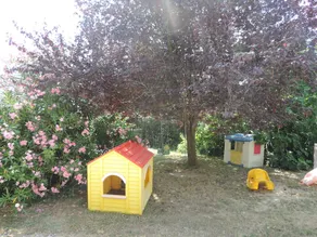 Aux Deux Lions - Image 3