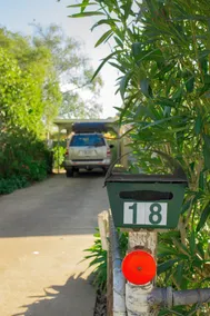 The Gums - Image 3