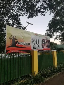 Pumulani Livingstone - Image 3
