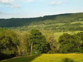 Woodbank - Image 3