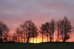 Gîtes à l'ombre des chênes - Image 3