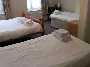 The Prince Regent - Image 3