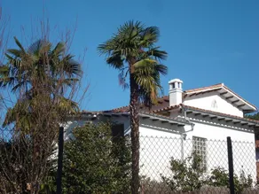 Villa Hortensia - Image 5